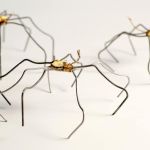 Las 3 ARANAS Malvina Sauvage Las 3 ARANAS