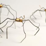 Las 3 ARANAS Malvina Sauvage Las 3 ARANAS